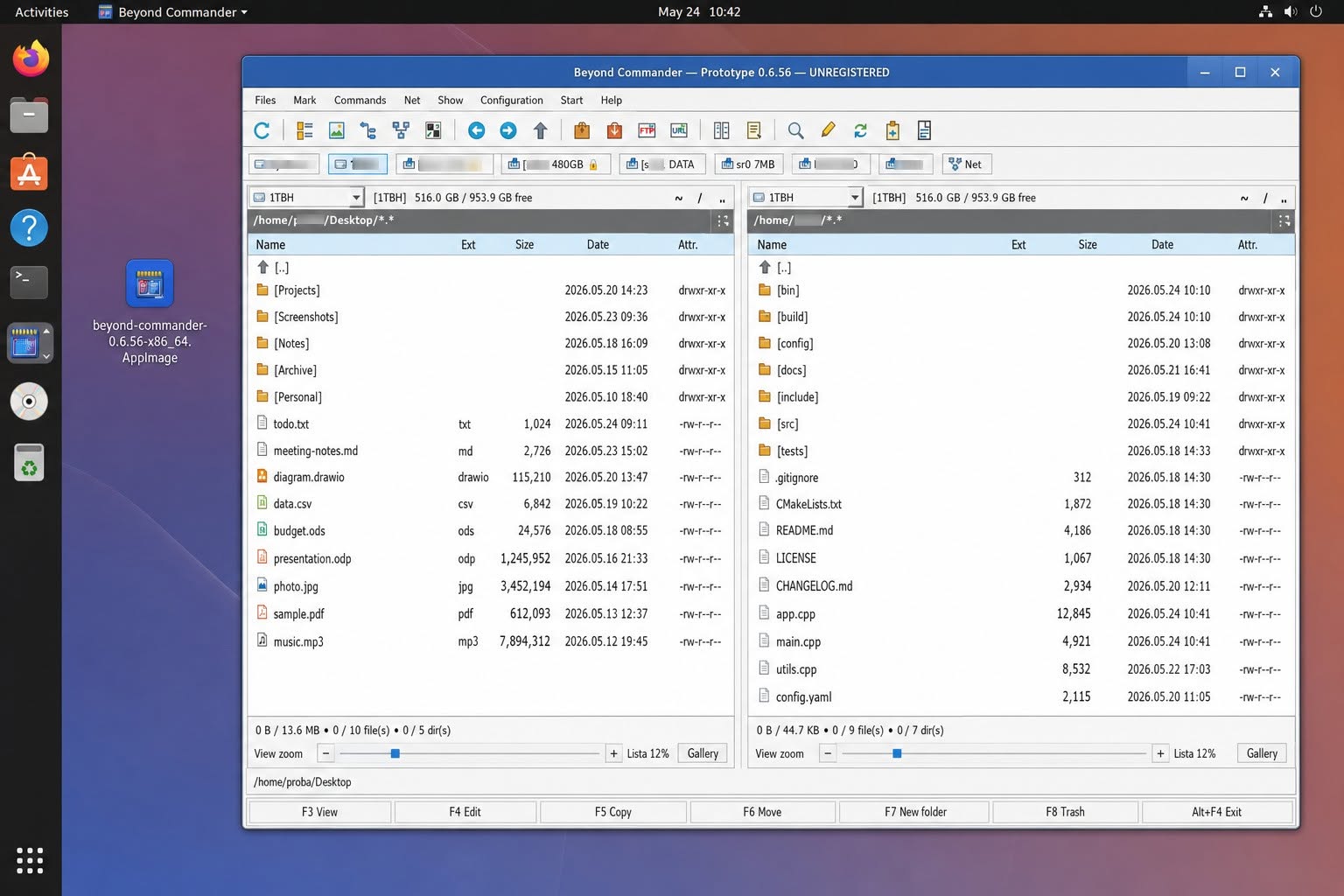 Beyond Commander on Linux — Desktop screenshot 2